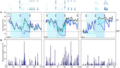 Seasonal Effects of Extreme Weather Events on Potential Extracellular Enzyme Activities in a Temperate Grassland Soil